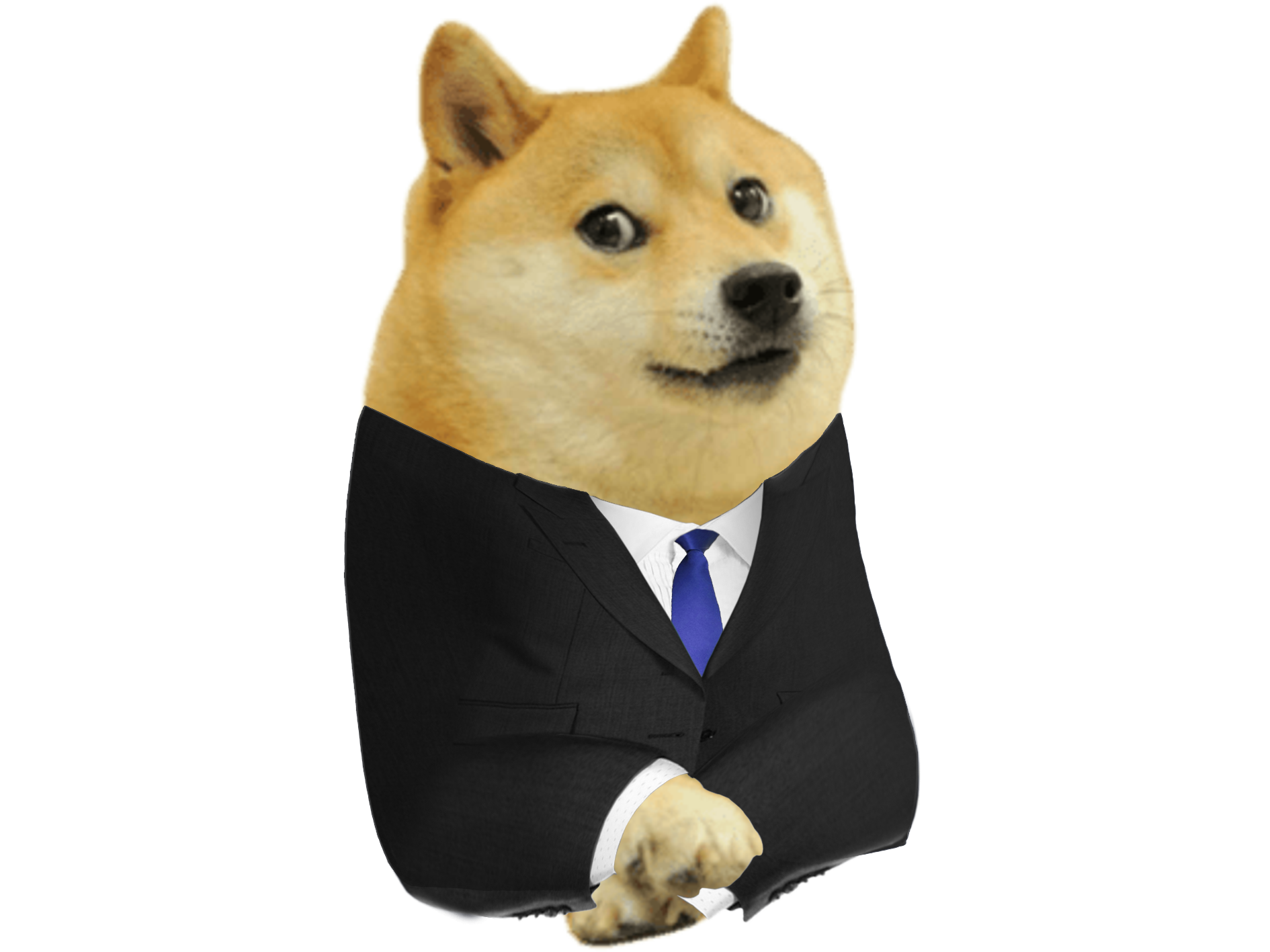 FDOGE